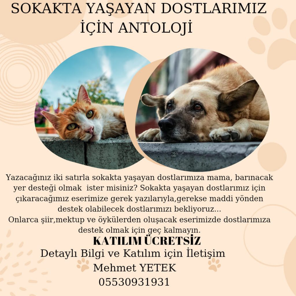 Sokak Hayvanları için Antoloji