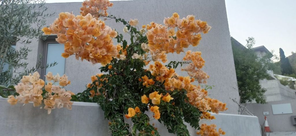 AKLIMI BAŞIMDAN ETTİN