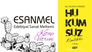 Hükümsüz Kimlikler (İnci YILMAZ ŞİMŞEK)