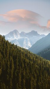 FUJİ DAĞINA TIRMANAN SALYANGOZ