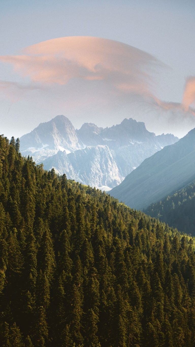 FUJİ DAĞINA TIRMANAN SALYANGOZ