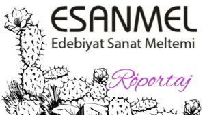 Yazar Ali ERDİN Röportajı