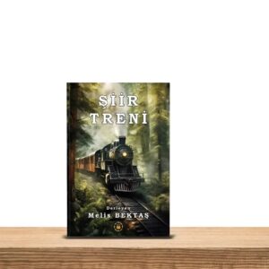 ŞİİR TRENİ ÇIKTI