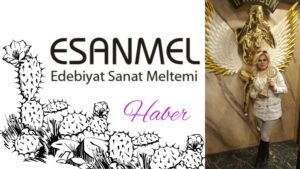 Yılın En İyi Çıkış Yapan Söz Yazarı: Sevil Sevil