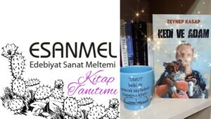 ZEYNEP KASAP’IN KEDİ VE ADAM ADLI KİTABI ÜZERİNE NOTLAR