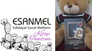 GÜLTEN TÜRKEL’İN  YAKUT KOLYENİN SIRRI ADLI KİTABI ÜZERİNE NOTLAR