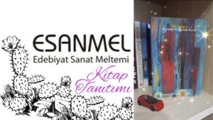 ASLI ERDOĞAN’IN KIRMIZI PELERİNLİ KENT ADLI KİTABI ÜZERİNE NOTLAR