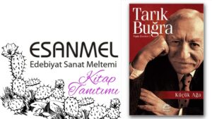 TARIK BUĞRA’NIN KÜÇÜK AĞA ADLI KİTABI ÜZERİNE NOTLAR