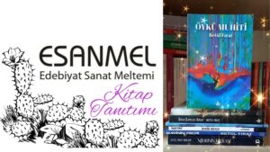 BETÜL FIRAT’IN  ÖYKÜ MUHİTİ ADLI KİTABI ÜZERİNE NOTLAR