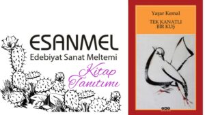 Yaşar Kemal’in Tek Kanatlı Bir Kuş adlı eseri üzerine notlar