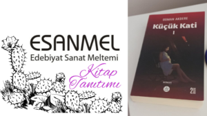 OSMAN AKDERE’NİN KÜÇÜK KATİ 1 ADLI ESERİ ÜZERİNE NOTLAR