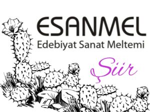 MESNEDLİ BİR SEVİŞ