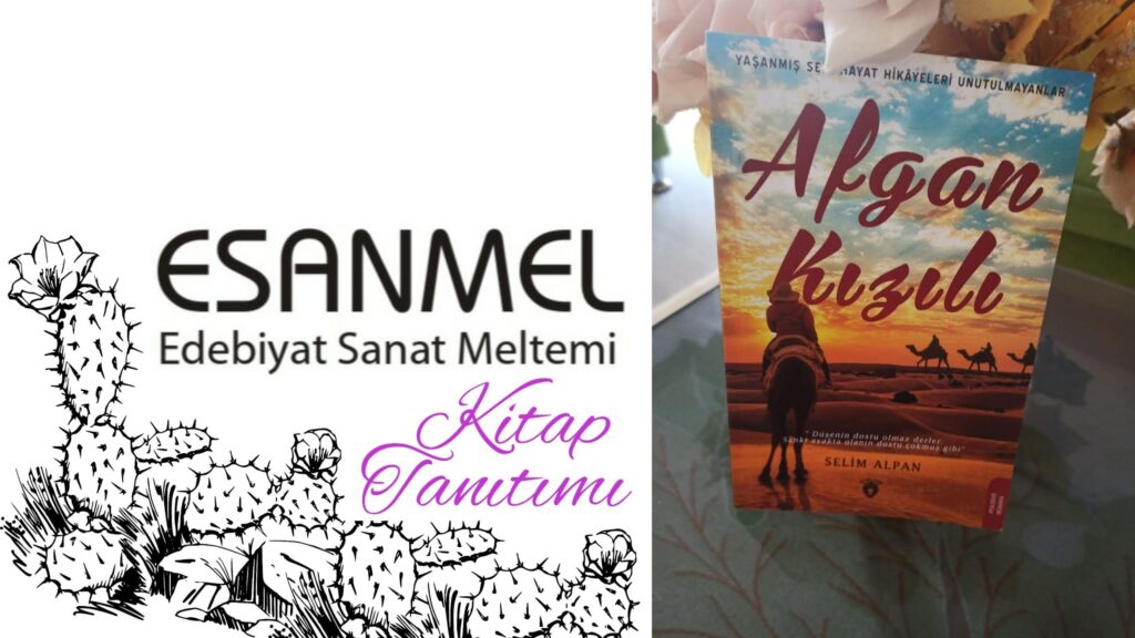 SELİM ALPAN’IN AFGAN KIZILI ADLI KİTABI ÜZERİNE NOTLAR