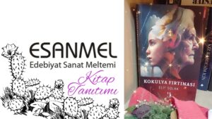 ELİF SOLAK’IN KOKULYA FIRTINASI ADLI KİTABI ÜZERİNE NOTLAR