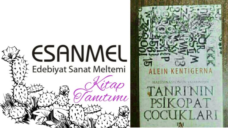 ALEIN KENTIGERNA’NIN TANRININ PSİKOPAT ÇOCUKLARI ÜZERİNE NOTLAR 