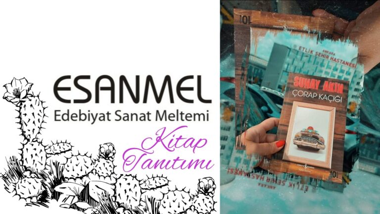 SUNAY AKIN’IN ÇORAP KAÇIĞI ADLI KİTABI ÜZERİNE NOTLAR