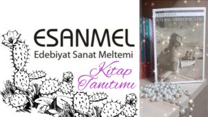 LİDER ERŞAN’IN KADINLARIN ÖYKÜLERİ ADLI KİTAP ÜZERİNE 