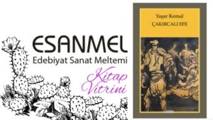YAŞAR KEMAL’İN ÇAKIRCALI EFE ADLI KİTABI ÜZERİNE NOTLAR