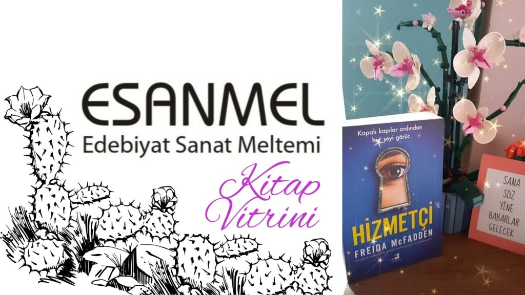 FREIDA McFADDEN’NIN HİZMETÇİ ADLI KİTABI ÜZERİNE NOTLAR