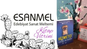 FREIDA McFADDEN’NIN HİZMETÇİ ADLI KİTABI ÜZERİNE NOTLAR