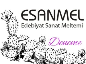 Güncel Türkiye toplumunda Norm ve etik üzerine inceleme.