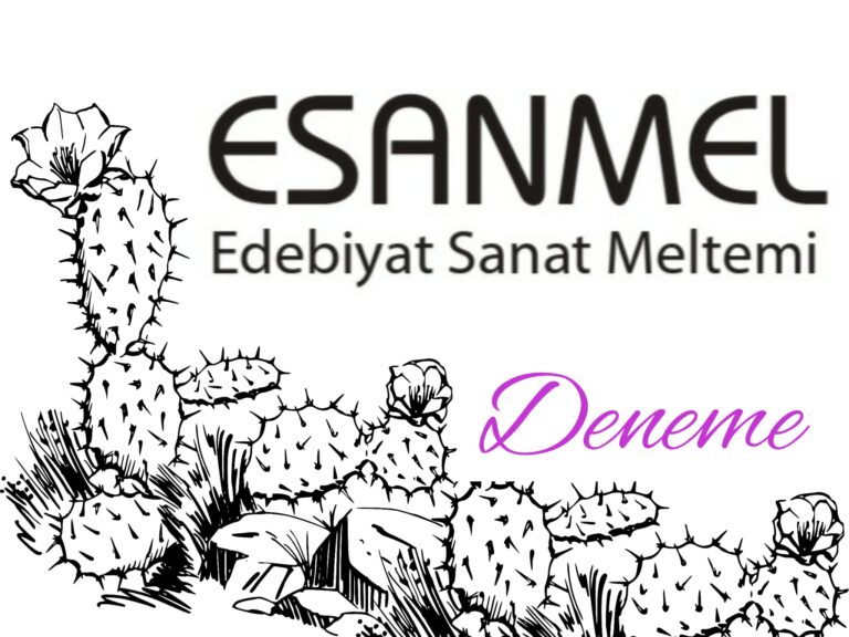 Güncel Türkiye toplumunda Norm ve etik üzerine inceleme.