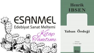 HENRİK İBSEN’İN YABAN ÖRDEĞİ KİTABI ÜZERİNE NOTLAR