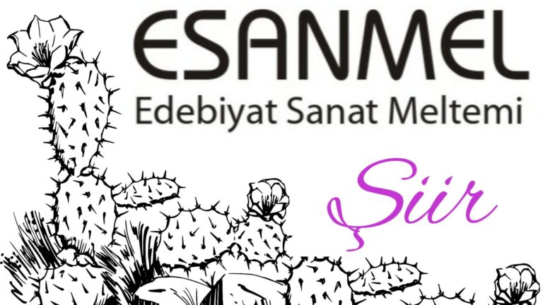 OLMAZSA OLMAZIM SANDIM