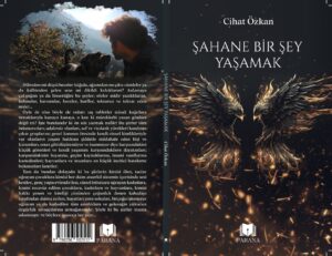 ŞAHANE BİR ŞEY YAŞAMAK ÇIKTI!