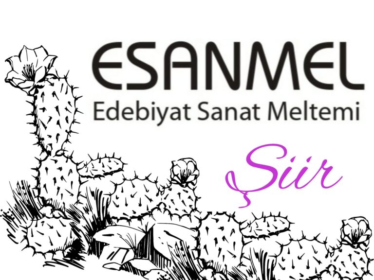 ŞİİR VE DUYGULAR