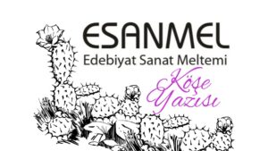 BİR EFSANE COĞRAFYASI ŞİREMENLİ