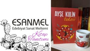 AYŞE KULİN’İN TAKSİİİ ADLI KİTABI ÜZERİNE NOTLAR