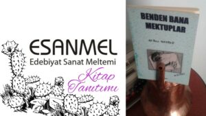 ALİ RIZA NAVRUZ’UN BENDEN BANA MEKTUPLAR KİTABI ÜZERİNE 