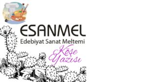 KİTAP TANITIRKEN VEYA ELEŞTİRİRKEN HANGİ KONULARA DİKKAT EDİLMELİDİR ?