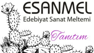 Banu Katırcıoğlu’nun Süpürge Otu adlı kitabı üzerine