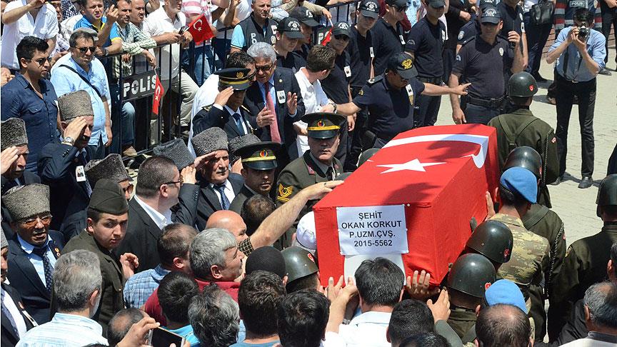 Siperde Doğan Ebedilik