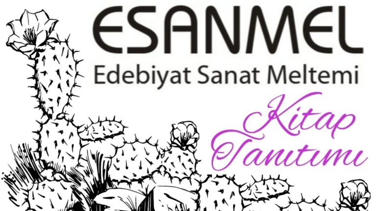 ŞULE BECER VE HİSSETTİKLERİMİ HİSSET İSİMLİ KİTABI