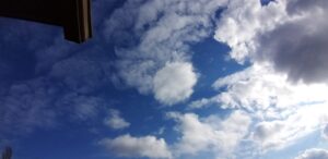 Takvim Yapraklarından Süzülenler: Zamanın Eskimeyen Yankısı