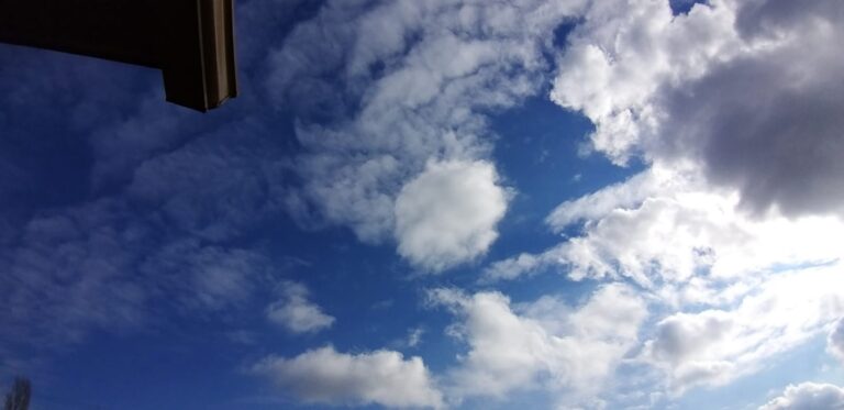 Takvim Yapraklarından Süzülenler: Zamanın Eskimeyen Yankısı