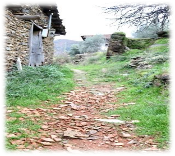 LÜBBEY’İN KİREMİTLERİ 