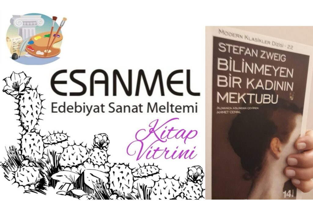 Gülenay Güneş’in Kitaplığı: BİLİNMEYEN BİR KADININ MEKTUBU