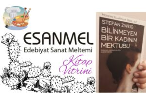 Gülenay Güneş’in Kitaplığı: BİLİNMEYEN BİR KADININ MEKTUBU