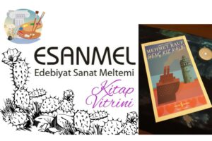 Gülenay Güneş’in Kitaplığı: GENÇ KIZ KALBİ