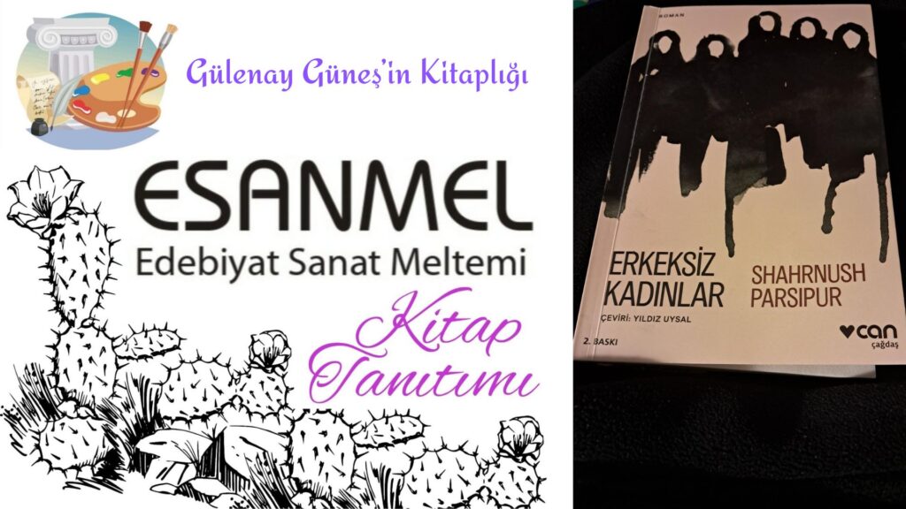 Gülenay Güneş’in Kitaplığı: ERKEKSİZ KADINLAR