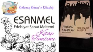 Gülenay Güneş’in Kitaplığı: ERKEKSİZ KADINLAR