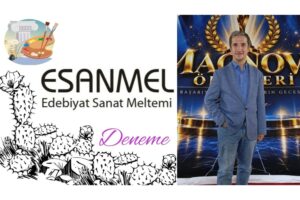SINIR KOYUNCA BİR ANDA SEVİLMEZ OLURSUN