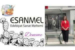 SEVGİLİ MİNE YALÇIN