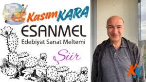 Sessiz Bakışlar