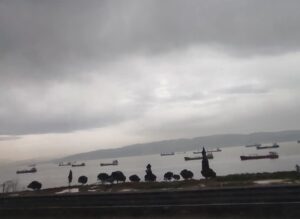 YEMYEŞİL BİR KENT: KOCAELİ