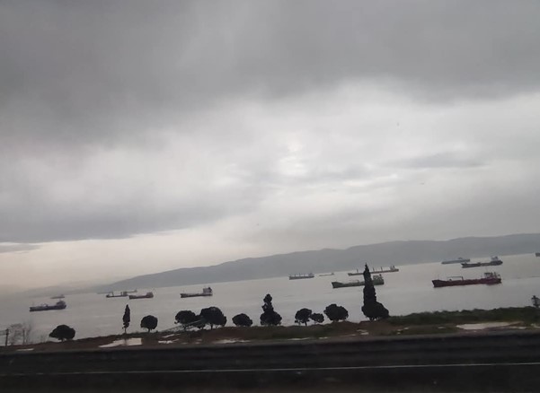 YEMYEŞİL BİR KENT: KOCAELİ